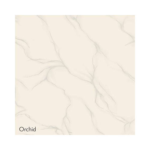 Whites Orchid Ivory Vitrfied Tiles