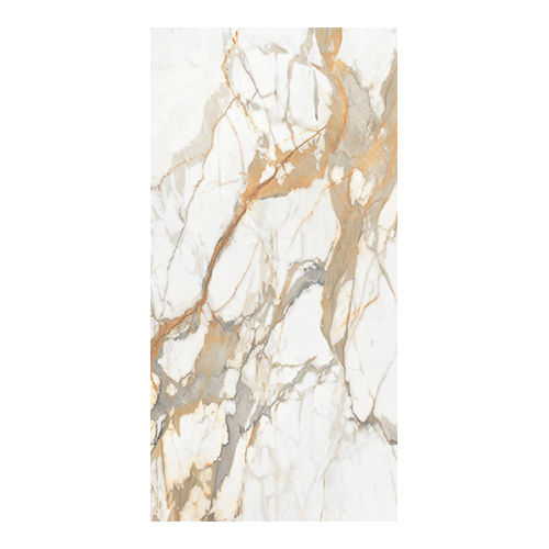 Porcelain Tiles 1200 X 2400 MM