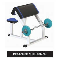 Preacher Curl Bench