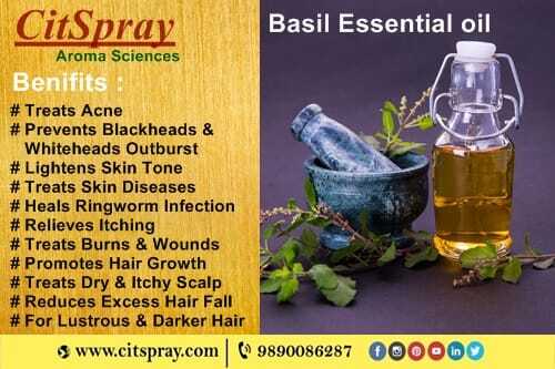 Organic Basil Oil