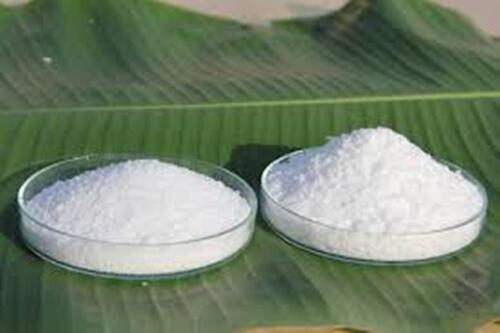 Bleomycin api powder