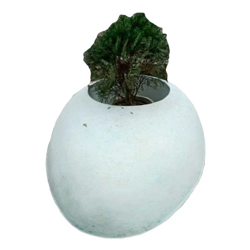 Oval FRP Garden Planter