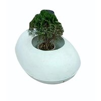 Oval FRP Garden Planter