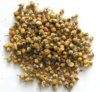 Freeze Dried Chamomile Powder