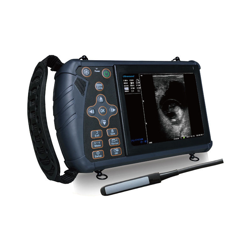 Ultrasonic diagnosis instrument for animals