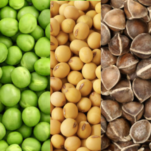 PEA SOY MORINGA PROTEIN