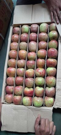 Fresh apple-B grade
