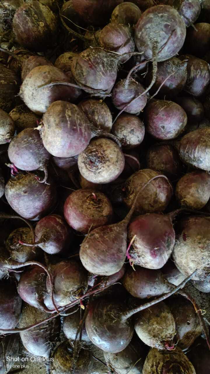 Fresh Beetroot