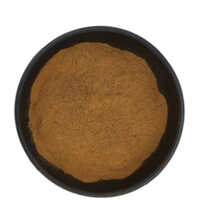 White Instant Black Tea Extract Powder