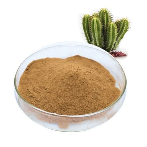 Cactus Powder Extract