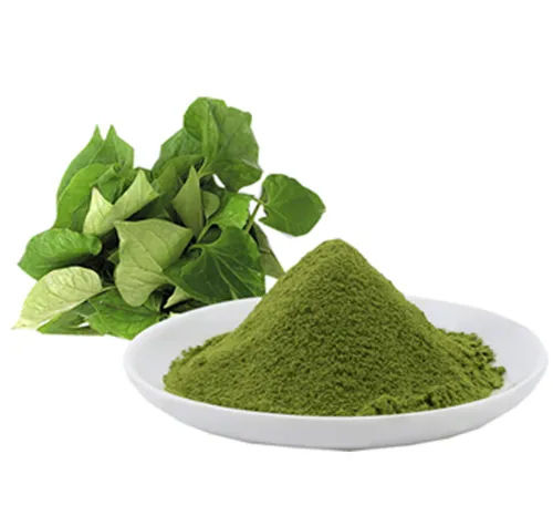 Centella Asiatica Extract Powder