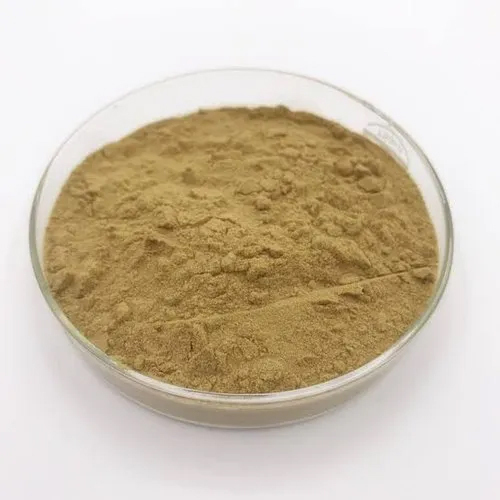 EuphorbiaHirtaHerbal Extract