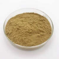 EuphorbiaHirtaHerbal Extract