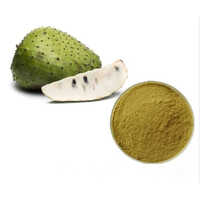 Graviola Extract Powder Purity(%): High