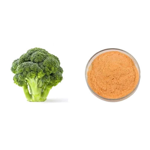 Light Brown Broccoli Powder Broccoli Extract