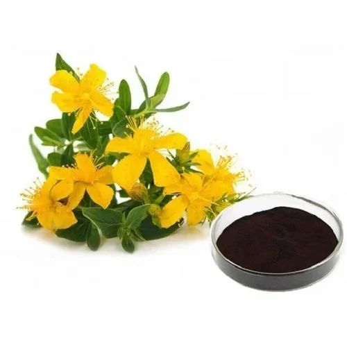 St Johns Wort Plant Extract