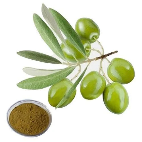 Olive Leaf Extract Powder