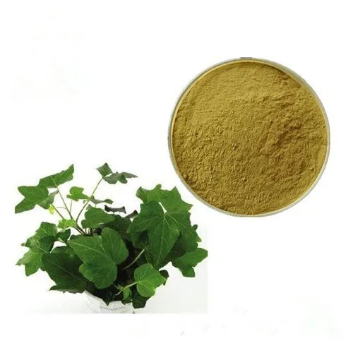 Ivy Leaf Extract - Hedera Nepalensis