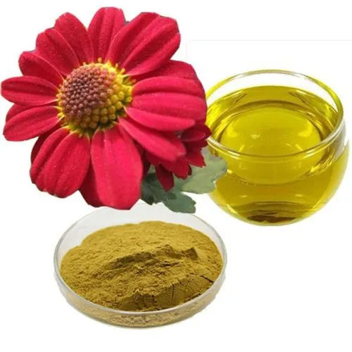 Brown Pyrethrum Extract Chrysanthemum Cinerariaefolium