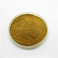 Brown Stinging Nettle Leaf Extract