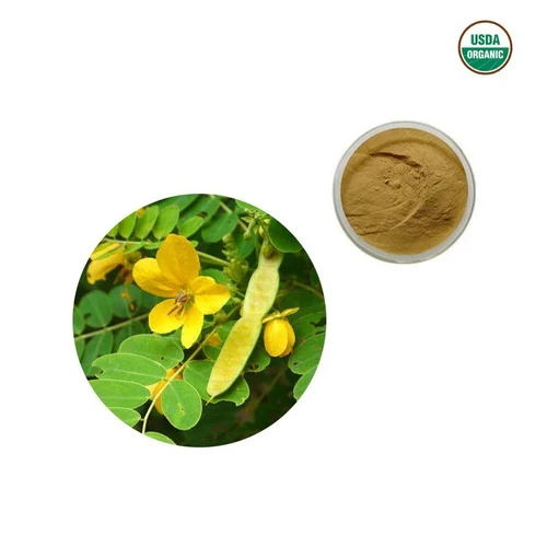 Senna Extract Powder