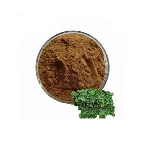 Brown Liverwort Extracts Powder