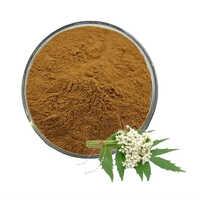 Valerian Root Powder Extract