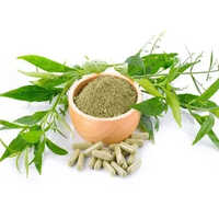 Green Andrographis Paniculata Extract