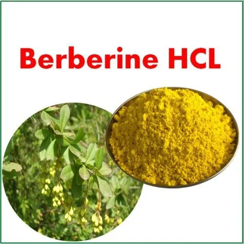 Berberine Extract Powder