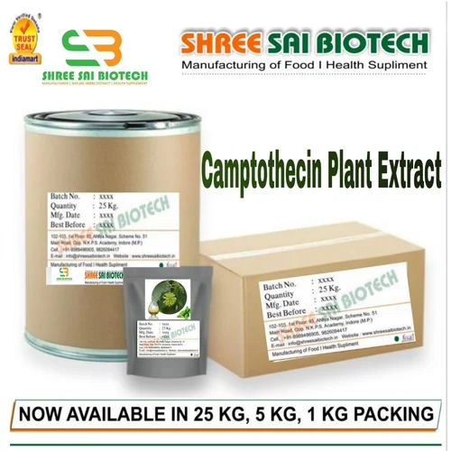 Brown Camptothecin Plant Extract