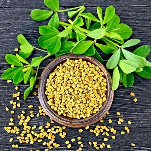 Brown Fenugreek Methi Herbal Extracts