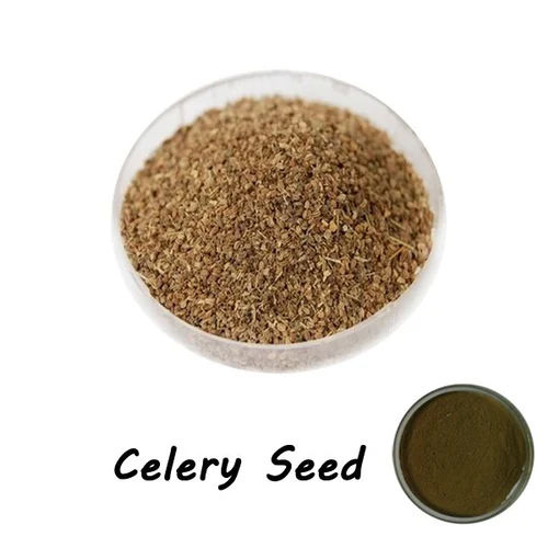 Brown Celery Seed Powdered Extract