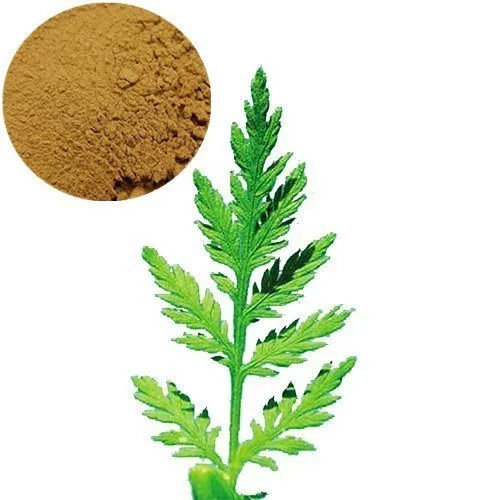 Brown Artemisia Leaf Extract