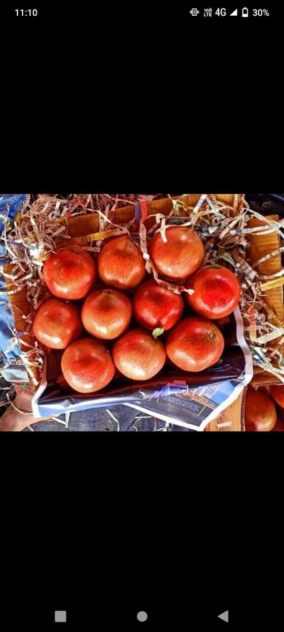 Fresh Pomegranate