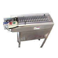 Strip De Foiling Machine - Color: Silver
