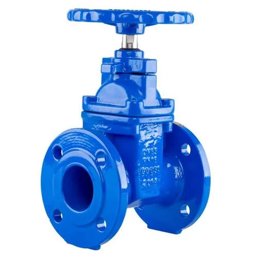 Blue Flanged Gate Valve