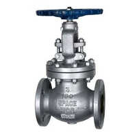 Pressure Check Valve - Stainless Steel | Silver, Socket Weld Connection