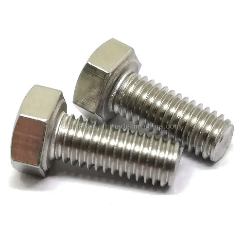 Silver Stainless Steel Duplex Fasteners