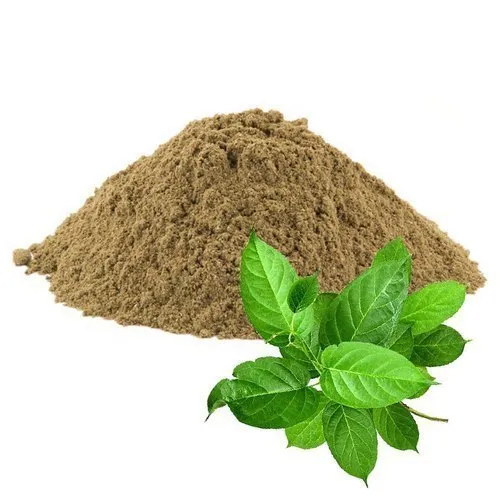 Natural Yucca Extract