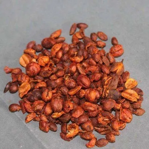 Celastrus Paniculatus Extract