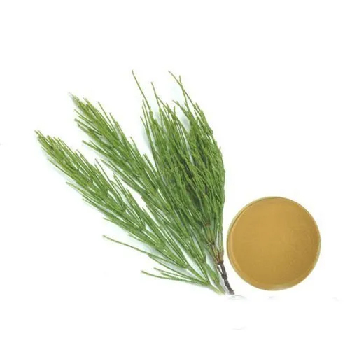 Horsetail Extract