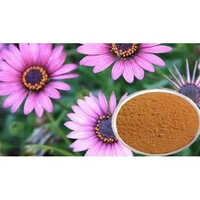 Echinacea Purpurea Extract