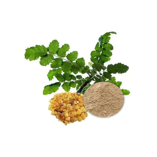 Boswellia Serrata Extract Grade: Medical Grade