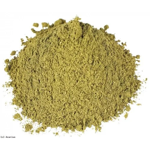 Pluchea Lanceolata Extract