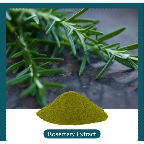Rosemary Extract Powder