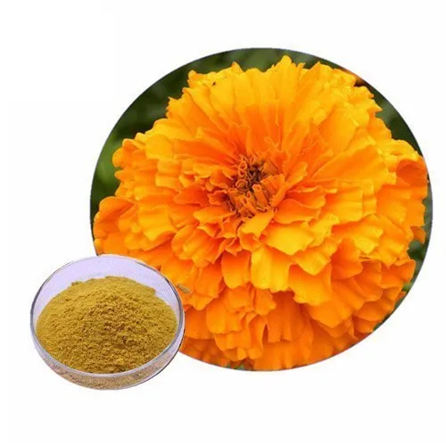 Calendula Extract Powder