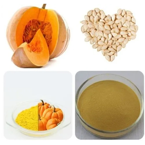 Pumpkin Extract Powder