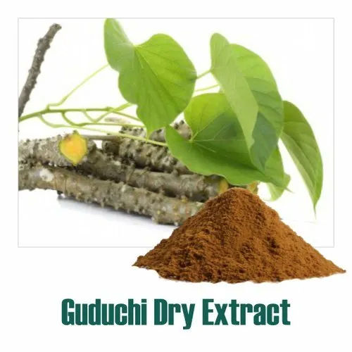 Herbal Product Guduchi Giloy Dry Extract