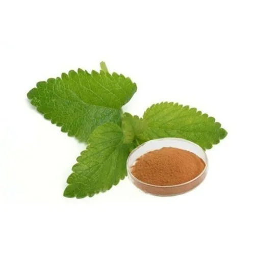 Herbal Product Lemon Balm Extracts