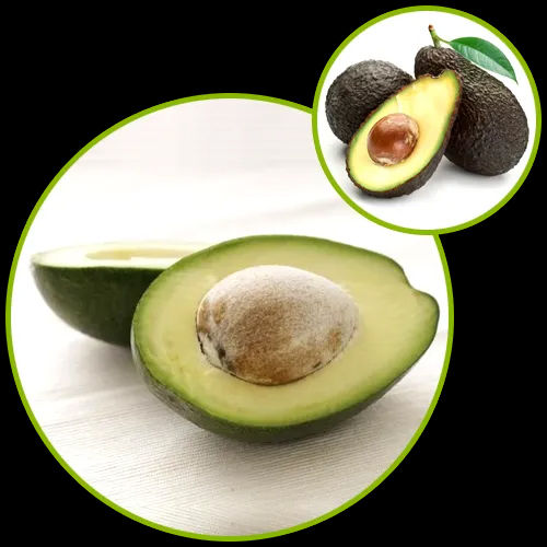 Avocado Soybean Unsaponifiables Powder Ingredients: Herbal Extract